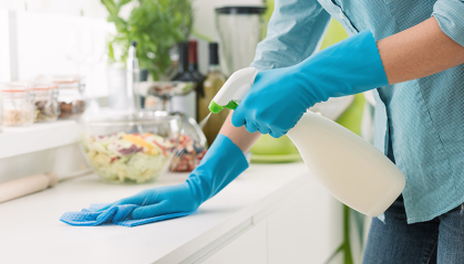 Disinfectant hot sale at home